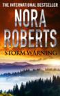 Storm Warning - eBook