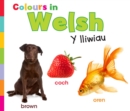 Colours in Welsh : Y lliwiau - Book
