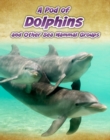 A Pod of Dolphins : and Other Sea Mammal Groups - Book