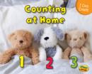 Counting at Home - Book