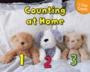 Counting at Home - eBook