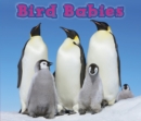 Bird Babies - Book