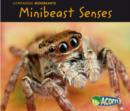 Minibeast Senses - Book