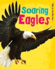 Soaring Eagles - eBook