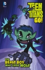 Teen Titans GO! Pack A of 3 - Book