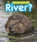 What Can Live in a River? - eBook