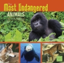 The Most Endangered Animals in the World - Book