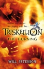 Triskellion 2: The Burning - eBook