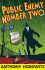 Public Enemy Number Two - eBook