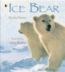 Ice Bear - Book
