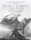 The Secret Horses of Briar Hill - Book