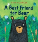 A Best Friend for Bear - Book