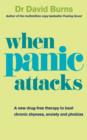 When Panic Attacks : A new drug-free therapy to beat chronic shyness, anxiety and phobias - eBook
