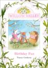 Birthday Fun - Book