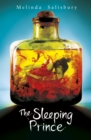 The Sleeping Prince - eBook