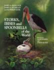 Storks, Ibises and Spoonbills of the World - eBook