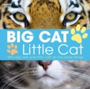 Big Cat, Little Cat - Book
