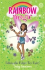 Felicia the Fidget Toy Fairy - eBook