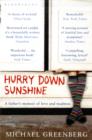 Hurry Down Sunshine : A Father's Memoir of Love and Madness - Book