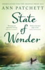State of Wonder - Book