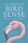 Bird Sense : What It's Like to Be a Bird - eBook