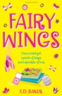 Fairy Wings - Book