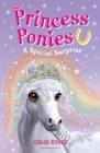 Princess Ponies 7: A Special Surprise - eBook