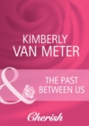 The Past Between Us - eBook