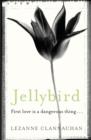 Jellybird : A chilling novel of childhood secrets, first love - and murder - eBook