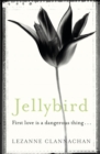 Jellybird : A chilling novel of childhood secrets, first love - and murder… - Book