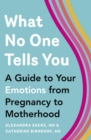 What No One Tells You : A Guide to Your Emotions from Pregnancy to Motherhood - eBook
