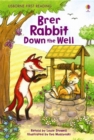 Brer Rabbit Down the Well - Book
