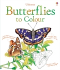 Butterflies to Colour - Book