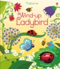 Wind-up Ladybird - Book