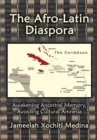 The Afro-Latin Diaspora : Awakening Ancestral Memory, Avoiding Cultural Amnesia - eBook
