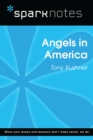Angels in America (SparkNotes Literature Guide) - eBook
