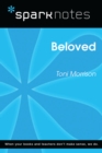 Beloved (SparkNotes Literature Guide) - eBook