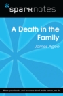 A Death in the Family (SparkNotes Literature Guide) - eBook