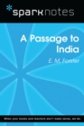 A Passage to India (SparkNotes Literature Guide) - eBook
