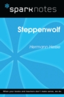 Steppenwolf (SparkNotes Literature Guide) - eBook