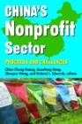 China's Nonprofit Sector : Progress and Challenges - Book