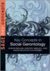 Key Concepts in Social Gerontology - Book