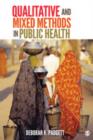 Qualitative and Mixed Methods in Public Health - Book