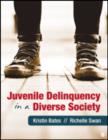 Juvenile Delinquency in a Diverse Society - Book