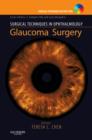 Surgical Techniques in Ophthalmology Series: Glaucoma Surgery : Text with DVD - Book