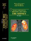 Pocket Companion to Brenner and Rector's The Kidney - Book