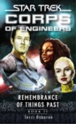 Star Trek: Remembrance of Things Past : Book Two - eBook