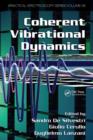 Coherent Vibrational Dynamics - eBook