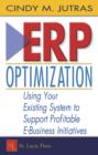 ERP Optimization : Using Your Existing System to Support Profitable E-Business Initiatives - eBook