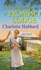 New Beginnings at Promise Lodge - Book